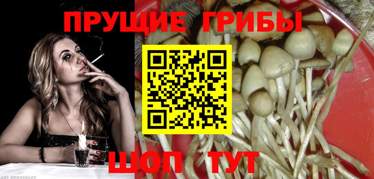 Псилоцибиновые грибы Magic Shrooms Сертолово