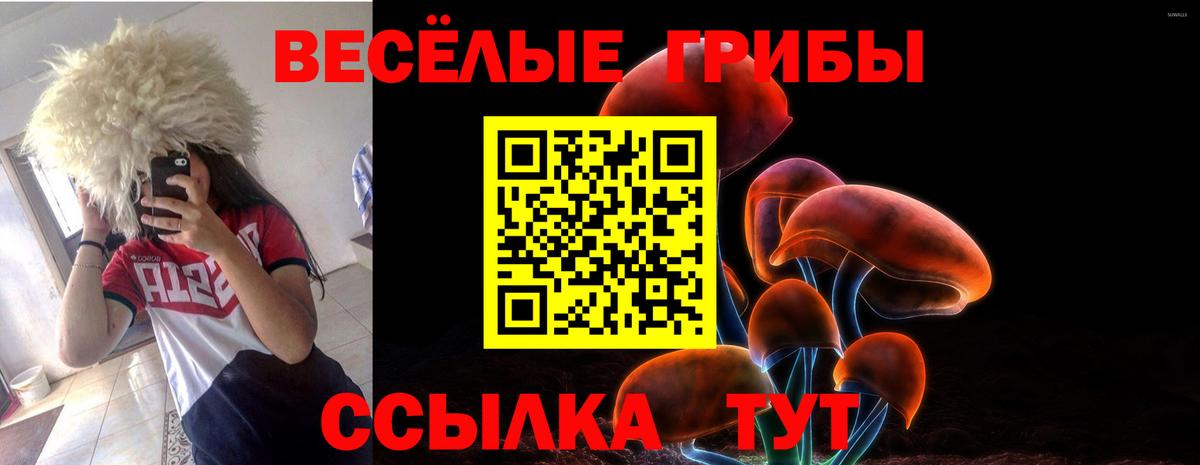 Сертолово  Галлюциногенные грибы Psilocybine cubensis  Вход с VPN 